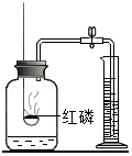 2只天鹅